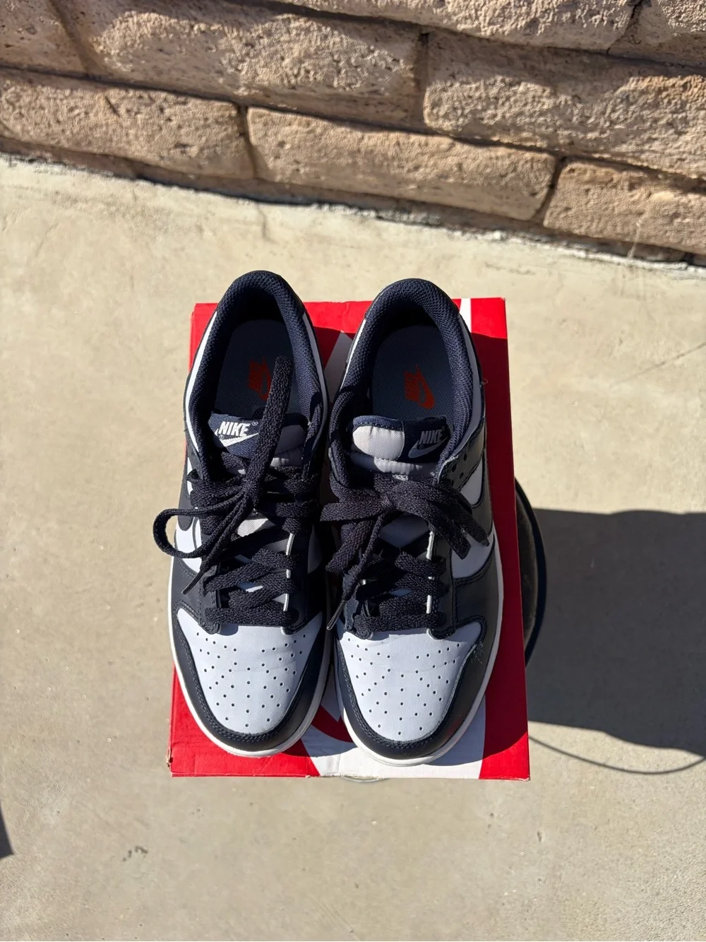 Nike Kids Navy Blue / lights Gray Low-Top Dunks